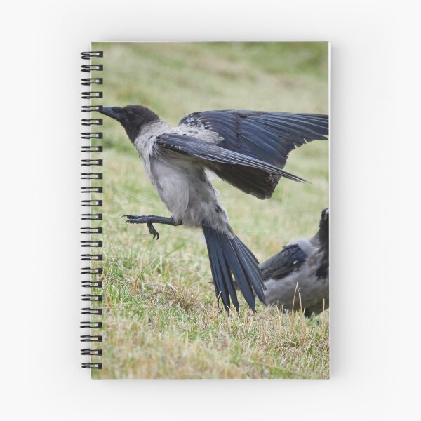 Item preview, Jump and go.Hooded crow designed and sold by Jouko Lehto Photography.