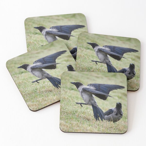 Item preview, Jump and go.Hooded crow designed and sold by Jouko Lehto Photography.