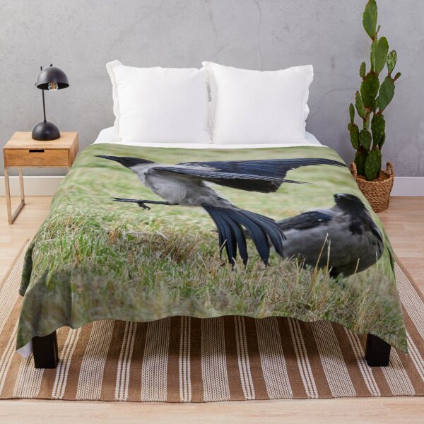 Item preview, Jump and go.Hooded crow designed and sold by Jouko Lehto Photography.