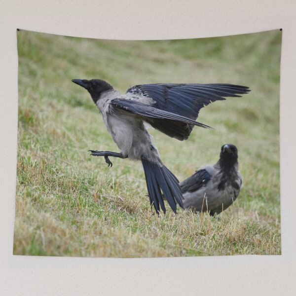 Item preview, Jump and go.Hooded crow designed and sold by Jouko Lehto Photography.