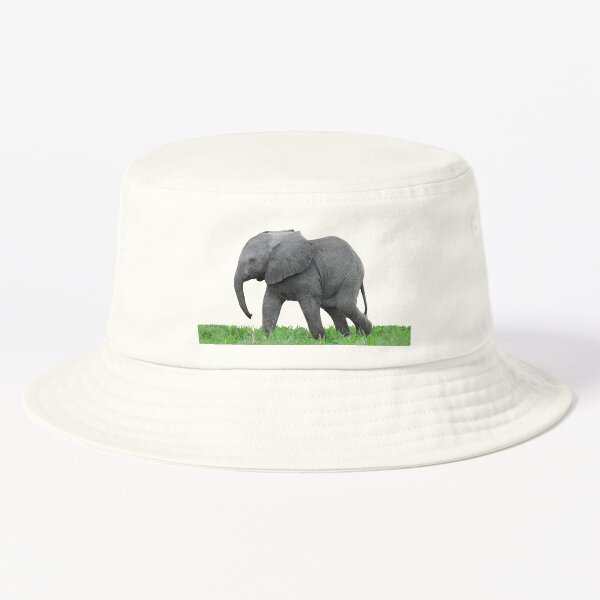 Baby African Elephant 2 Bucket Hat