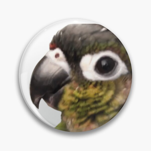 Item preview, Yellow Sided Green Cheek Conure parrot | Conure | Small Parrot | Parakeet | Parrot lover designed and sold by TatianaLG.