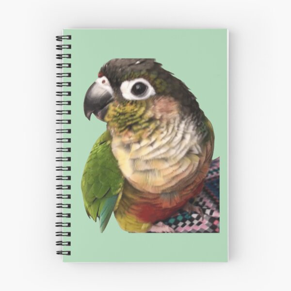 Item preview, Yellow Sided Green Cheek Conure parrot | Conure | Small Parrot | Parakeet | Parrot lover designed and sold by TatianaLG.