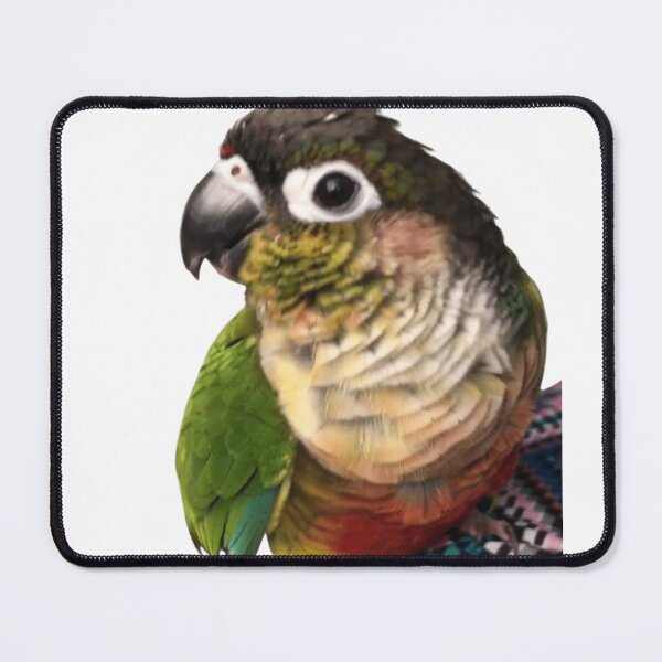 Item preview, Yellow Sided Green Cheek Conure parrot | Conure | Small Parrot | Parakeet | Parrot lover designed and sold by TatianaLG.