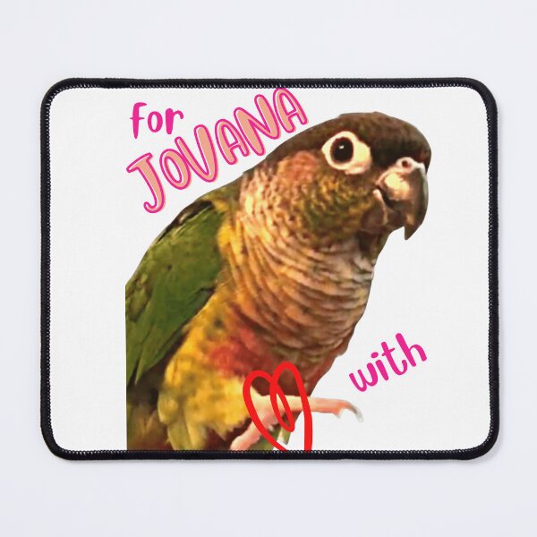 Item preview, Yellow Sided Green Cheek Conure parrot | from Conure with love | Small Parrot | Parakeet | Parrot lover designed and sold by TatianaLG.