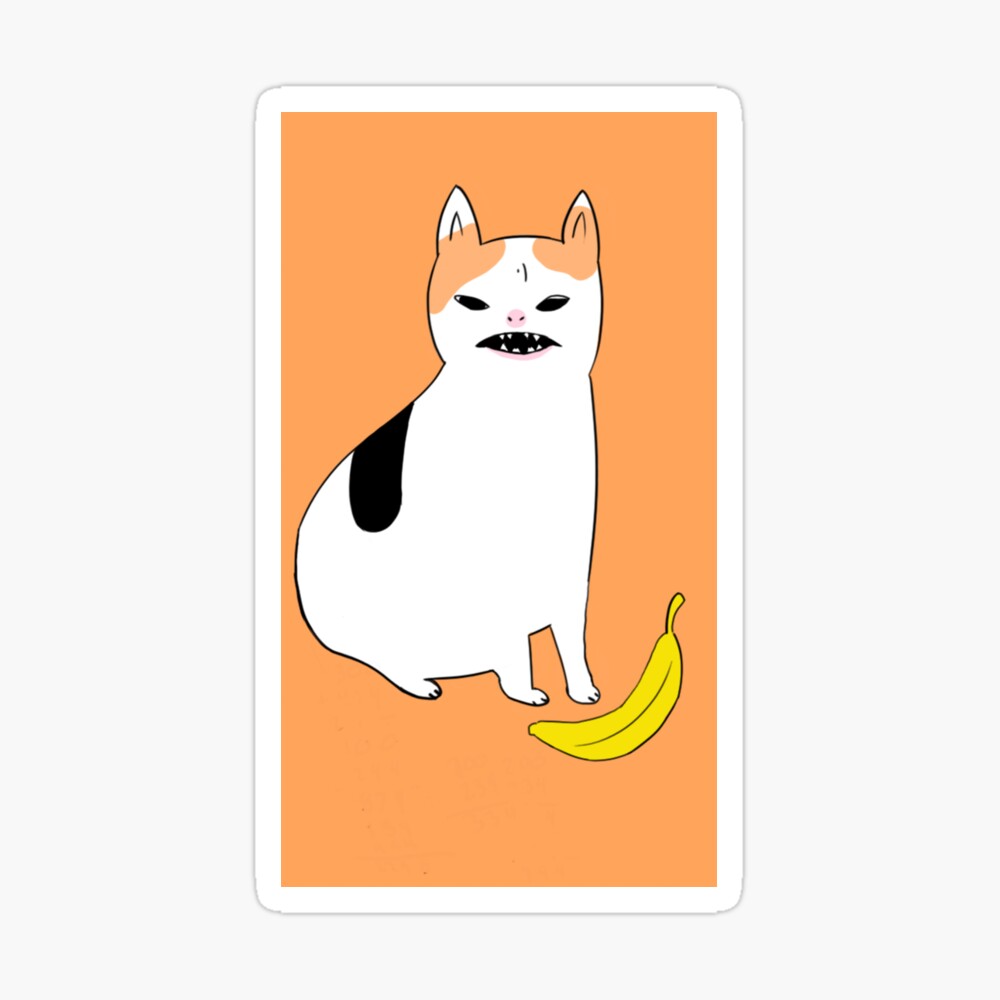 cat-doesn-t-like-banana-ubicaciondepersonas-cdmx-gob-mx