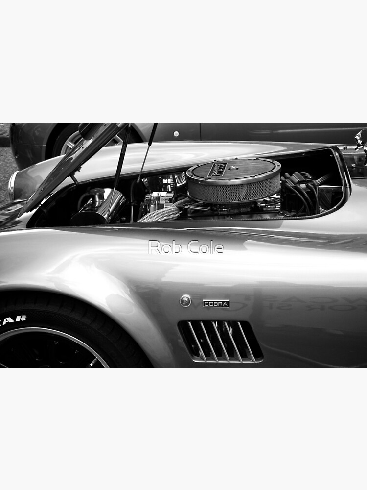 Classic AC Cobra Sports Car by robcole