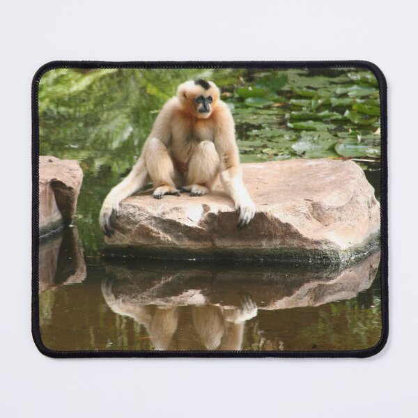 Item preview, Time for reflection designed and sold by Leanne Davis.