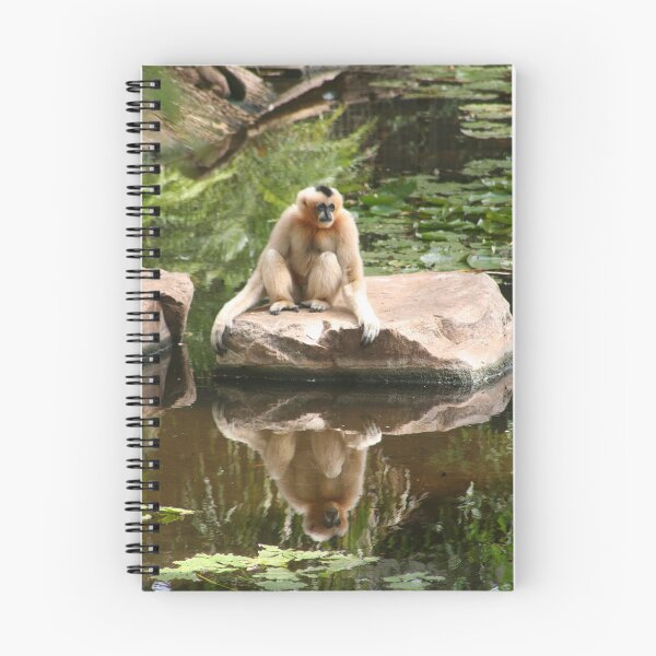 Item preview, Time for reflection designed and sold by Leanne Davis.