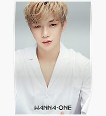 Daniel Kang Poster