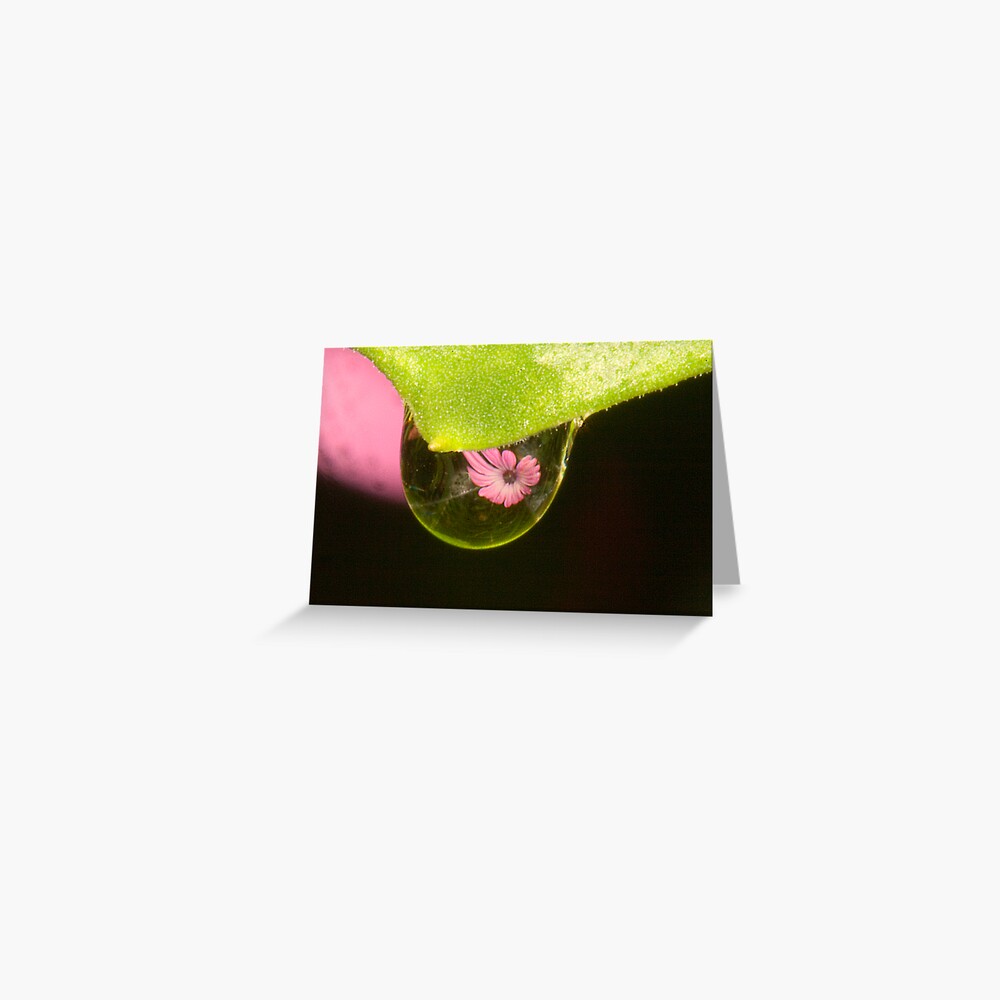 Water Drop Reflection Greeting Card
