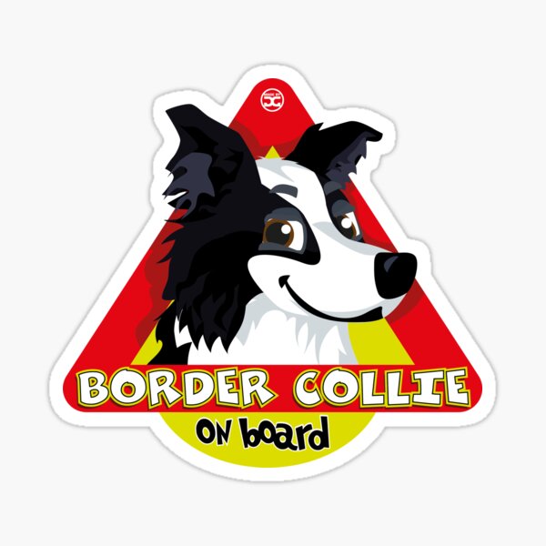 Border Collie On Board - Black & White Male Sticker