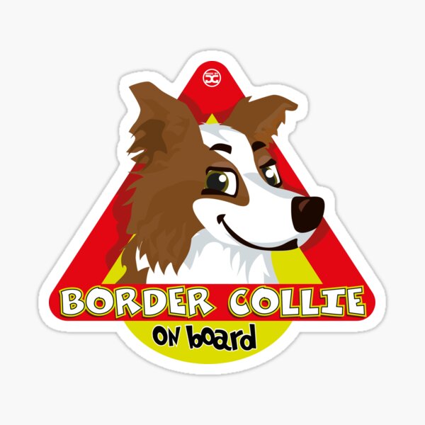 Border Collie On Board - Brown Male Sticker