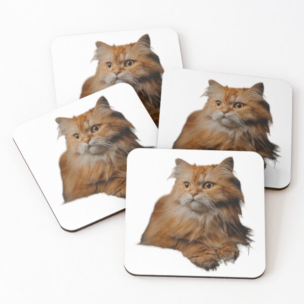 Item preview, Funny cute Ginger cat focus look designed and sold by flomishop.