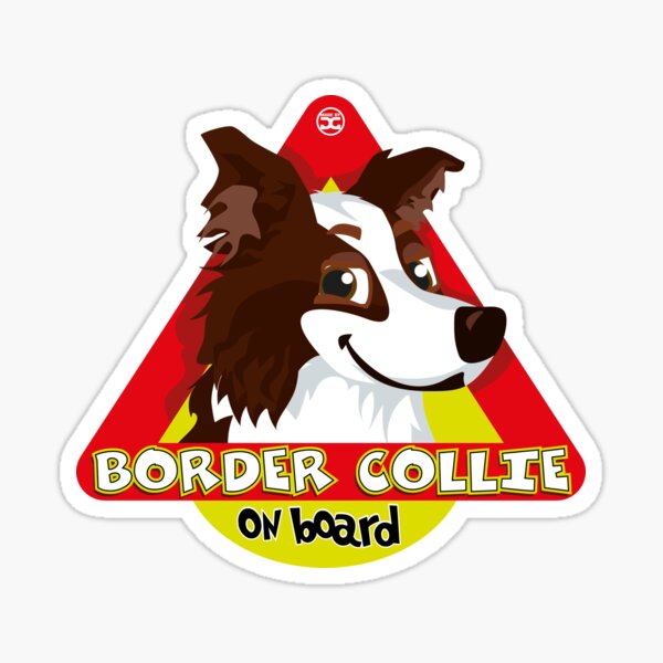 Border Collie On Board - Dark Brown Male Sticker