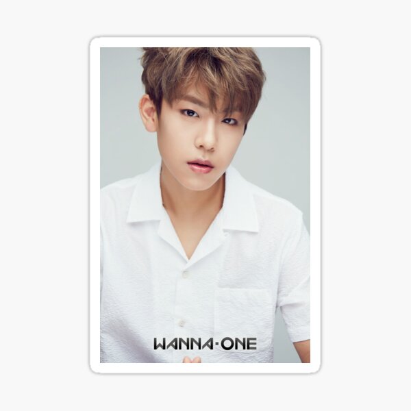 Park Woojin Sticker