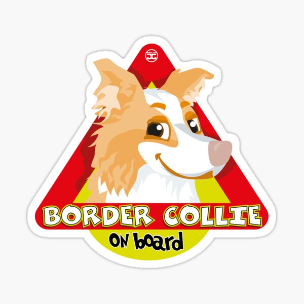 Border Collie On Board - Red Male Sticker