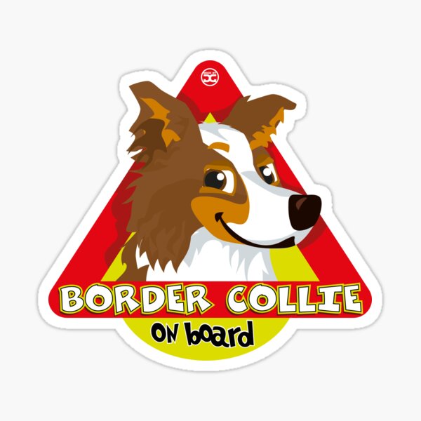 Border Collie On Board - Brown Tricolor Male Sticker