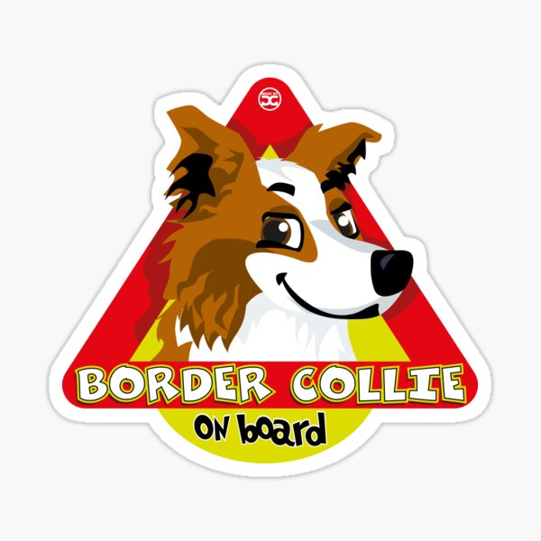 Border Collie On Board - Saber Male Sticker