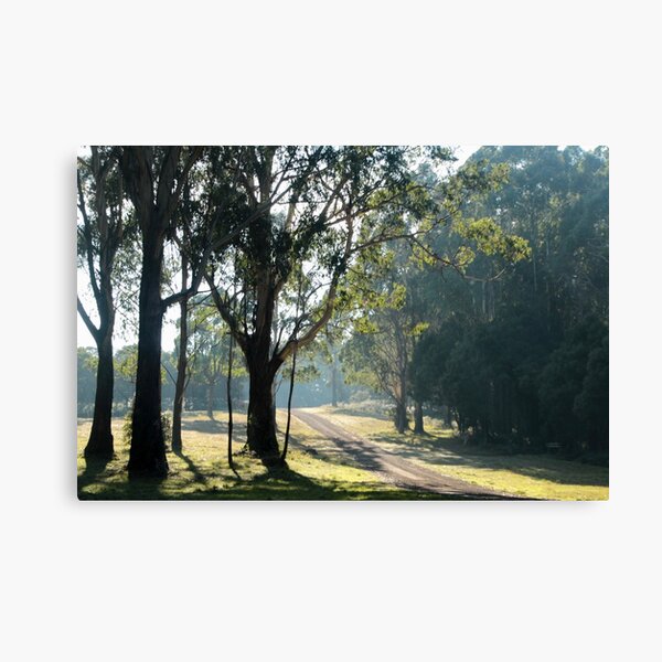 Item preview, Morning wander on Mt Macedon designed and sold by Susan Henry.