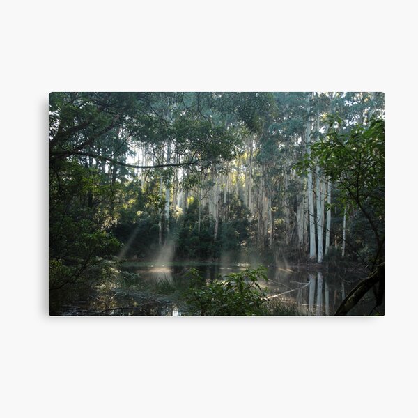 Item preview, Morning sun - Sanitorium Lake designed and sold by Susan Henry.
