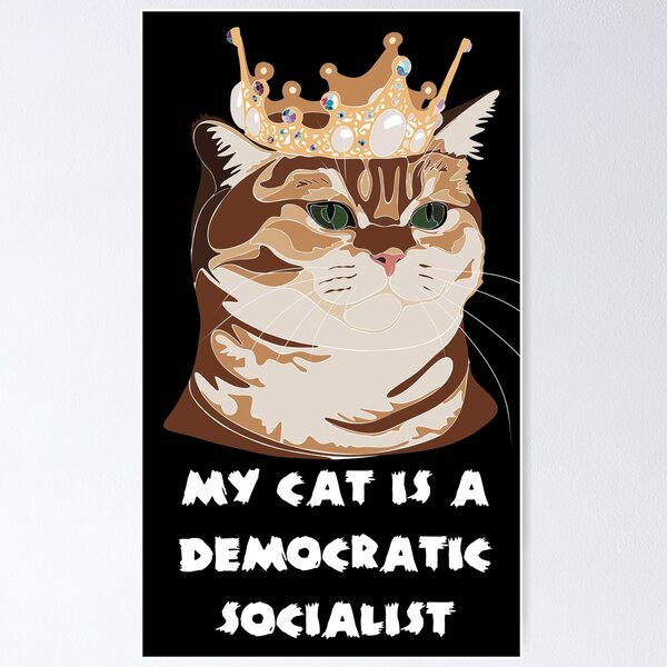 Item preview, Funny t-shirt designs for women featuring cats. Perfect for cat lovers, especially those whose cat is a democratic socialist. designed and sold by SERGEY OVCHARUK.