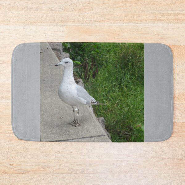 Item preview, Seagull on the river wall designed and sold by Shulie1.