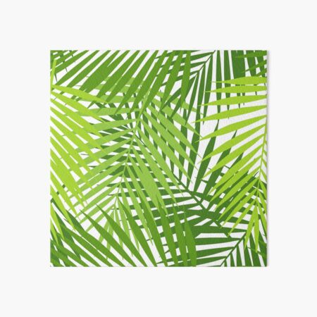 Palm Leaf Silhouette Tropical Leaves Art Board Print By Designer437 Redbubble