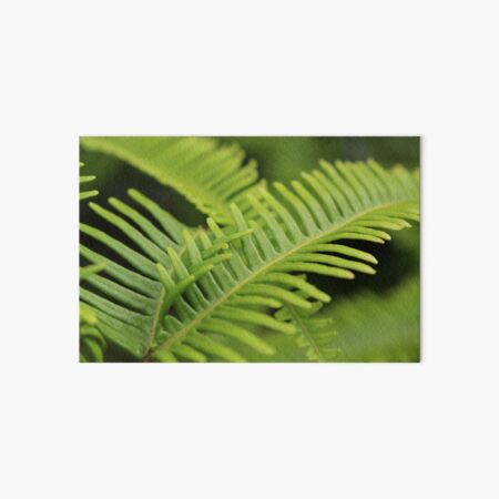 Intertwined leaves - Bright green Art Board Print