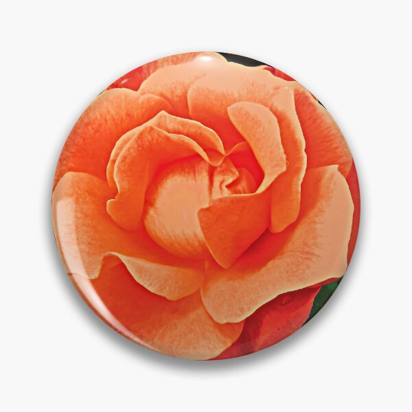 Item preview, Gorgeous orange rose designed and sold by Shulie1.