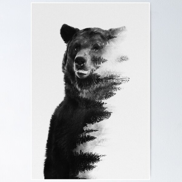 Observing Bear Poster