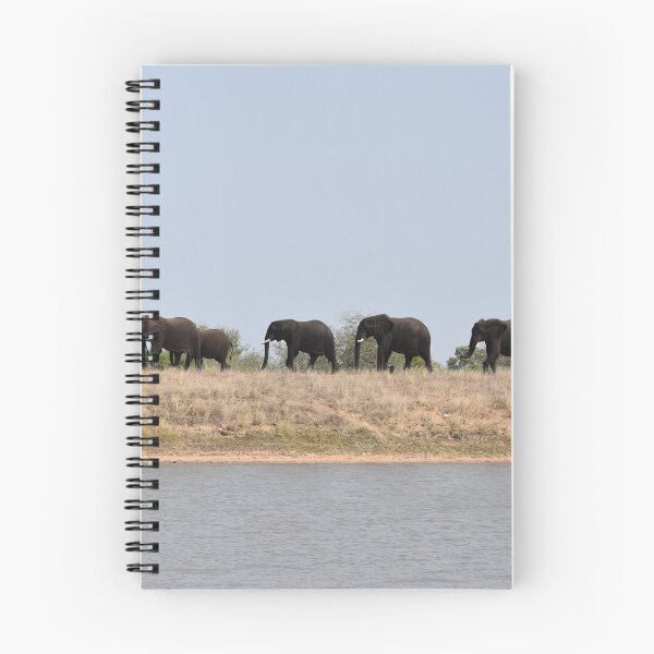 Item preview, A Memory of African Elephants - Photographed in the Kruger National Park, South Africa designed and sold by Marlienart.