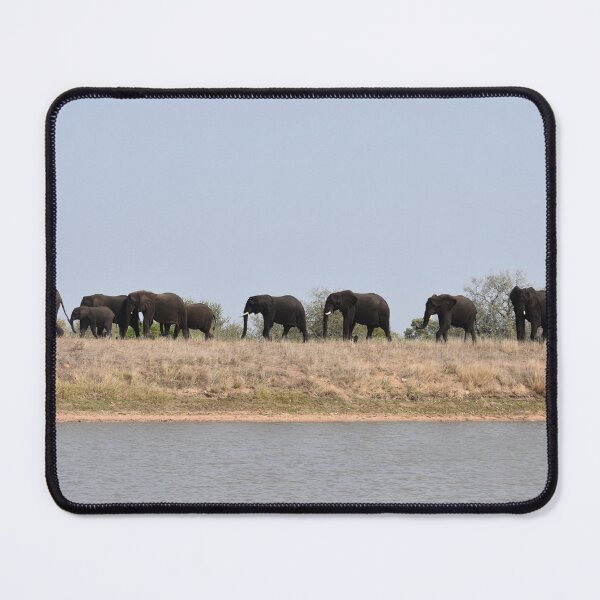 Item preview, A Memory of African Elephants - Photographed in the Kruger National Park, South Africa designed and sold by Marlienart.
