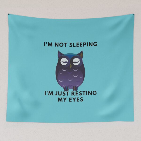Item preview, Sleeping Owl designed and sold by GetNew.