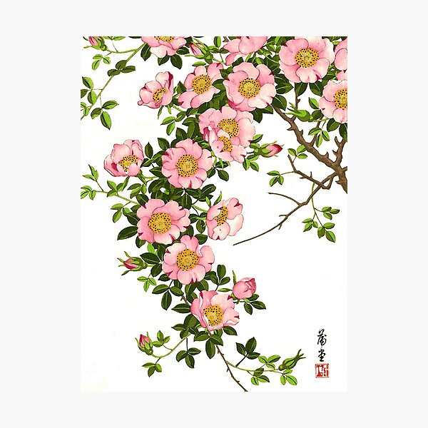 Item preview, Vintage Japanese Cherry Blossoms, Pink and Gold designed and sold by Marymarice.