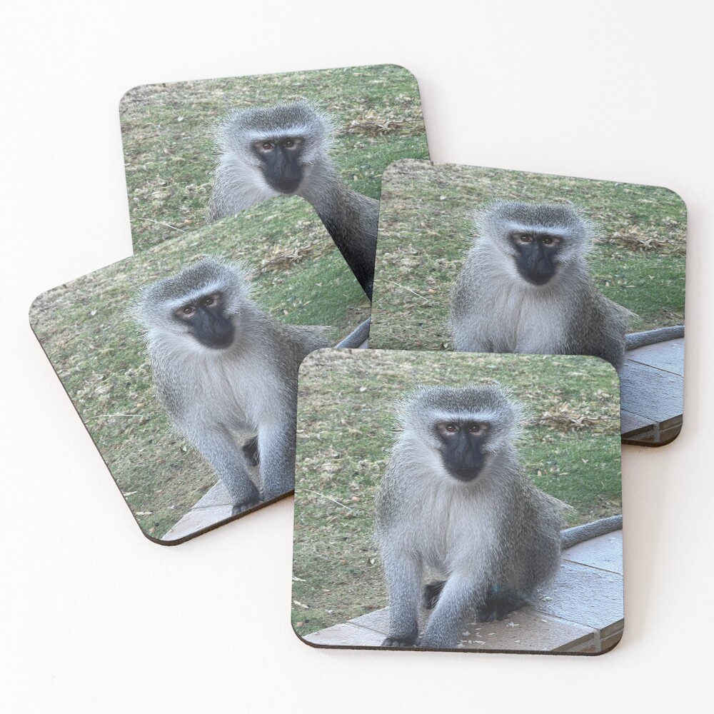 Item preview, Coasters (Set of 4) designed and sold by RPMouton.