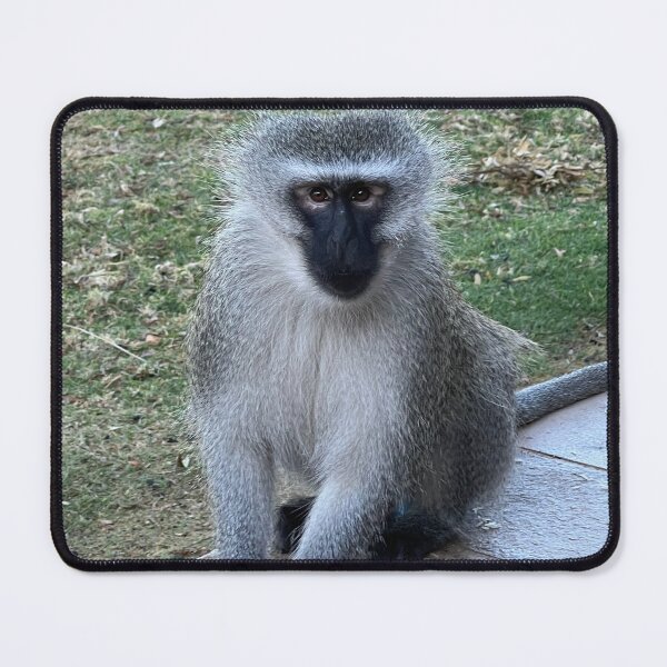 Item preview, Curious Monkey designed and sold by RPMouton.