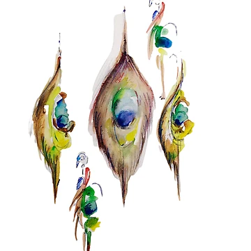 Artwork thumbnail, Peacock Pattern by Ojtstudio