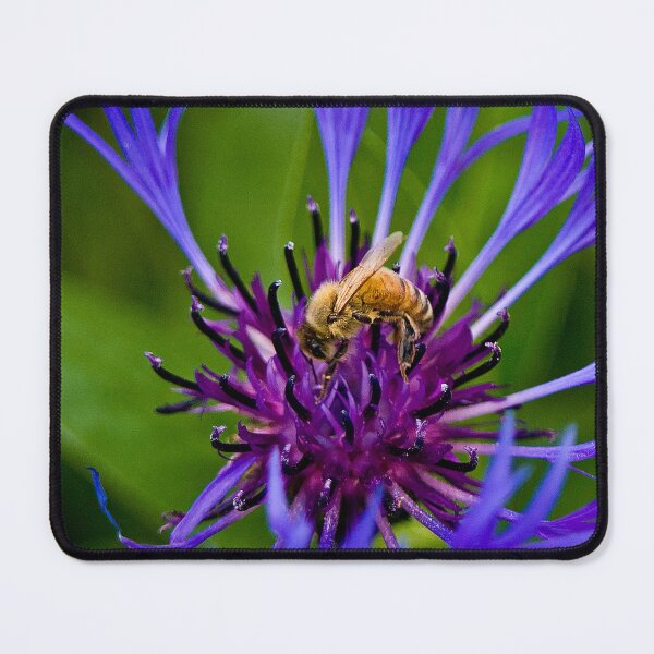 Item preview, Wild purple flower with a bee in the middle - WelshDesigns designed and sold by welshdesigns.