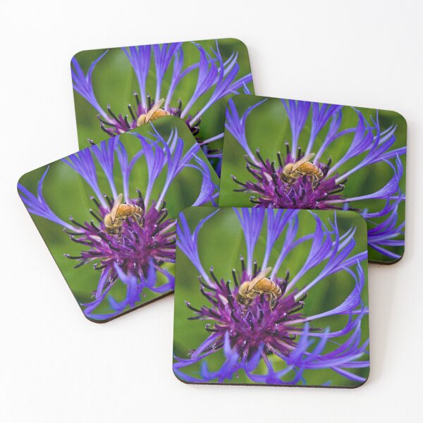 Item preview, Wild purple flower with a bee in the middle - WelshDesigns designed and sold by welshdesigns.