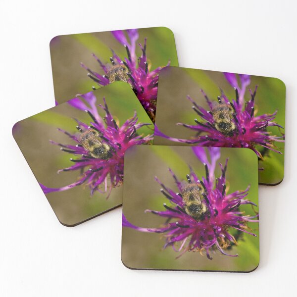 Item preview, Wild purple flower with a bee in the middle - WelshDesigns designed and sold by welshdesigns.