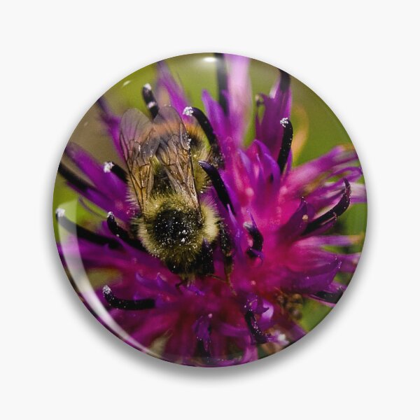 Item preview, Wild purple flower with a bee in the middle - WelshDesigns designed and sold by welshdesigns.