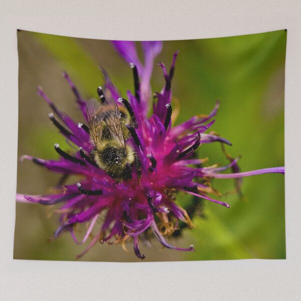 Item preview, Wild purple flower with a bee in the middle - WelshDesigns designed and sold by welshdesigns.