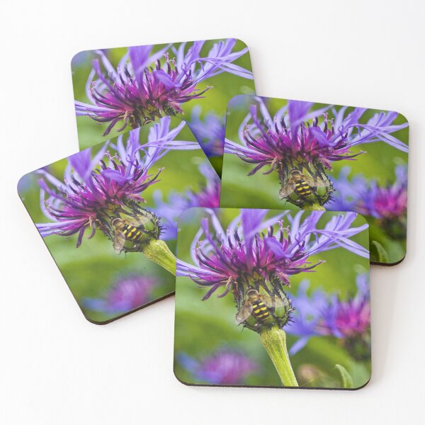 Item preview, Wild purple flower with a bee in the middle - WelshDesigns designed and sold by welshdesigns.