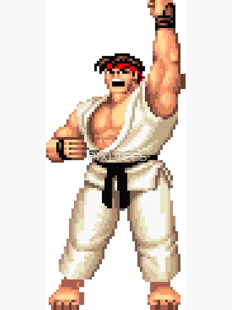 Ryu street fighter win