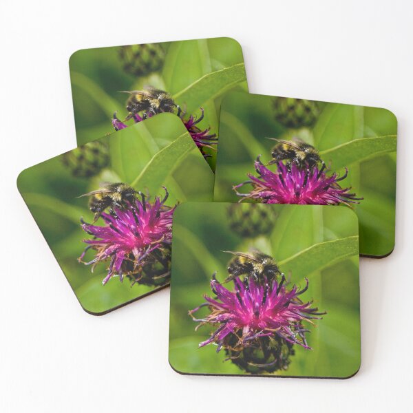 Item preview, Wild purple flower with a bee in the middle - WelshDesigns designed and sold by welshdesigns.