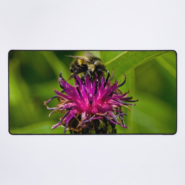 Item preview, Wild purple flower with a bee in the middle - WelshDesigns designed and sold by welshdesigns.