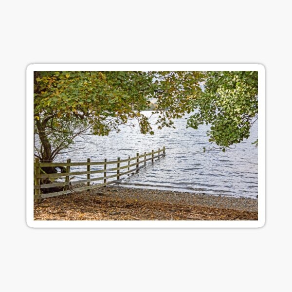 Fence into The Lake Sticker
