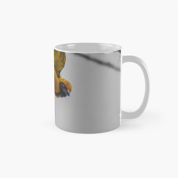 Item preview, African Masked Weaver (Ploceus velatus) designed and sold by Deborah V Townsend.