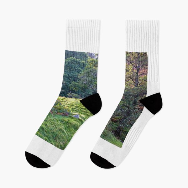 Item preview, Trees Ferns Grass in Rural Scene designed and sold by neandercol.